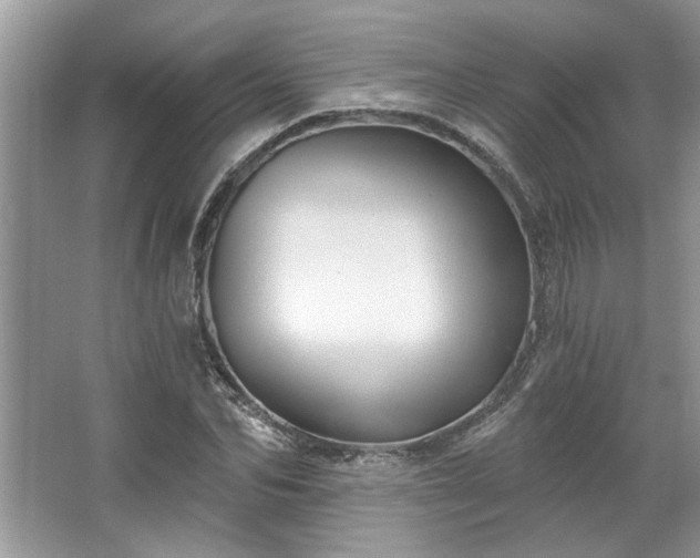 X0000067350974200604071421