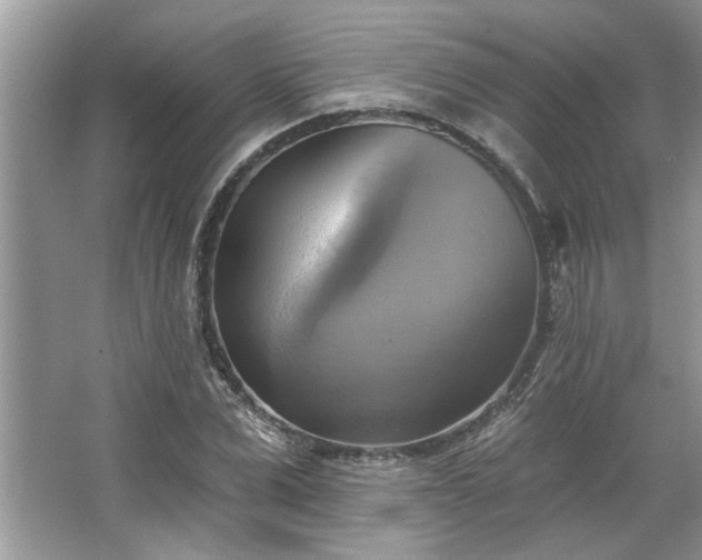 X0000067350975200604071421