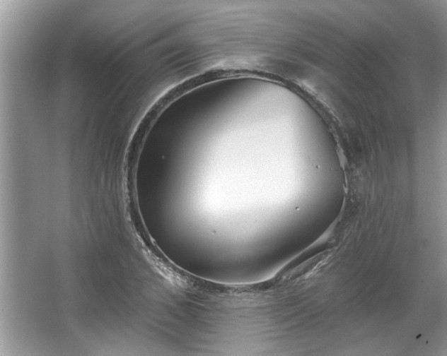 X0000067350976200604071421