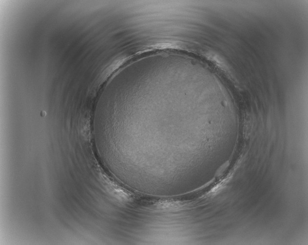 X0000067350977200604071421