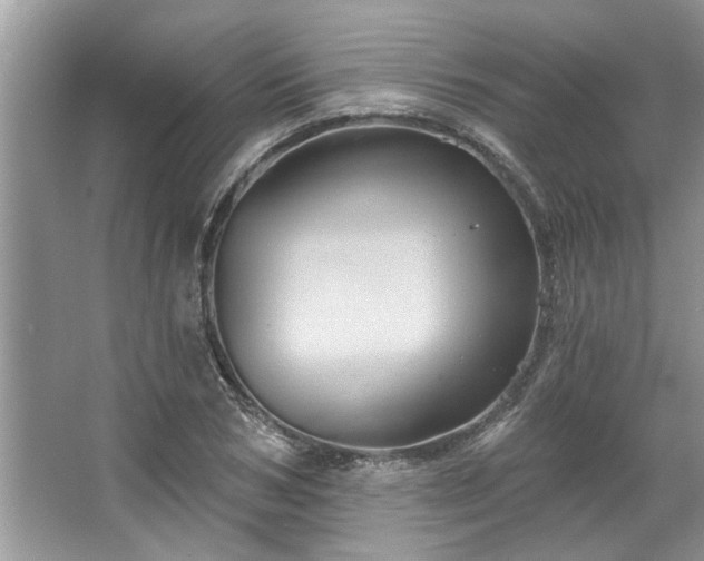 X0000067350978200604071421