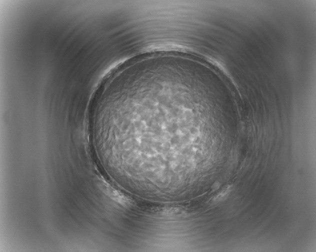 X0000067350979200604071421