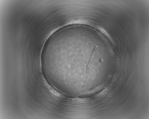 X0000067350980200604071421