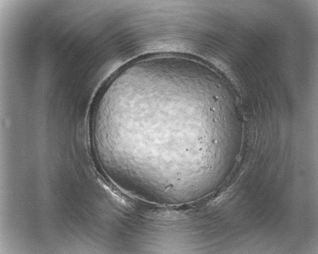 X0000067350982200604071421