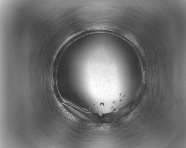 X0000067350984200604071421