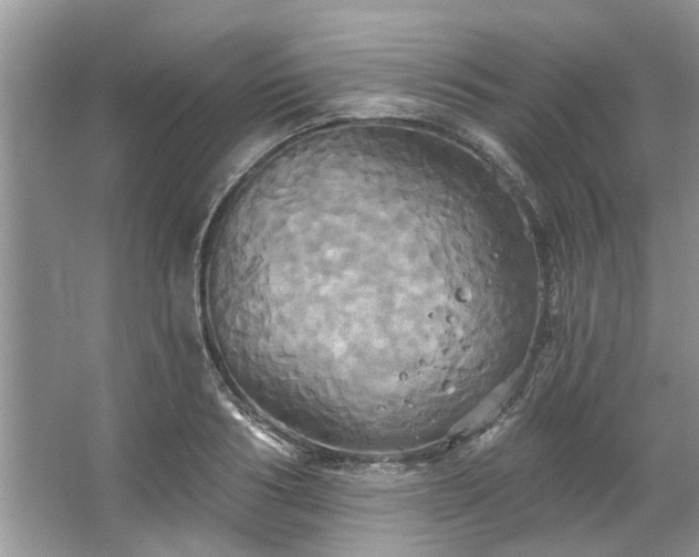 X0000067350986200604071421