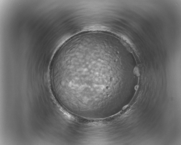 X0000067350990200604071421