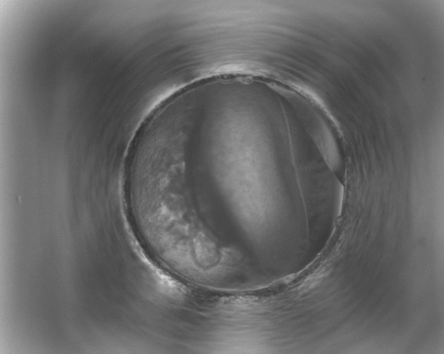 X0000067350991200604071421