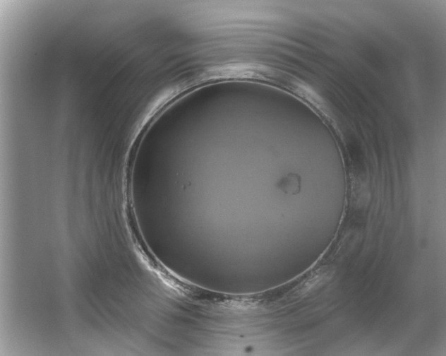 X0000067350994200604071421