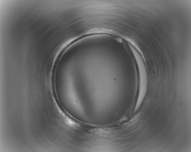 X0000067350995200604071421