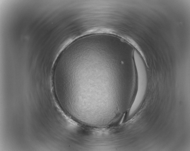 X0000067350997200604071421