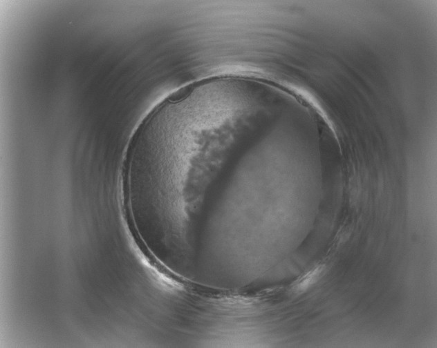 X0000067350999200604071421