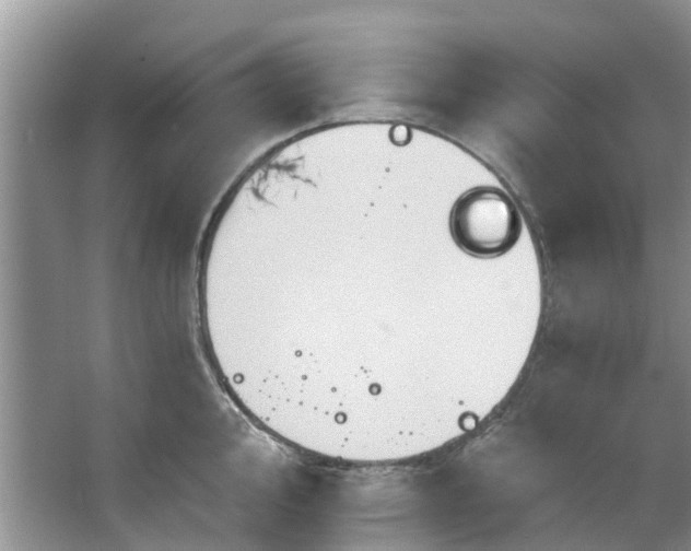 X0000067351000200604071421