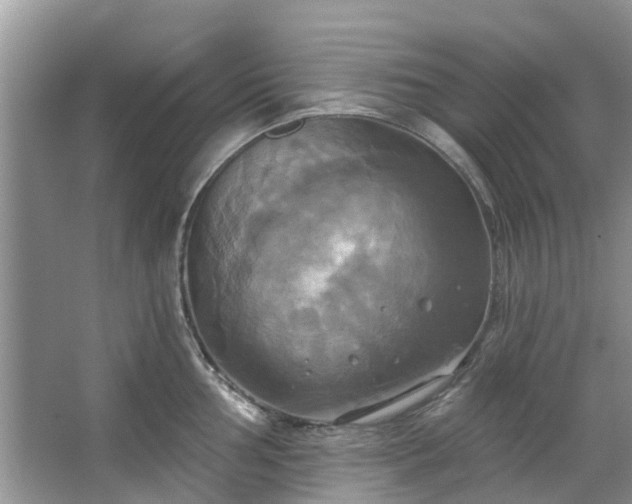 X0000067351002200604071421