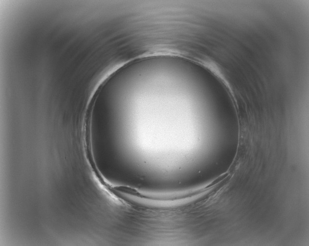 X0000067351003200604071421