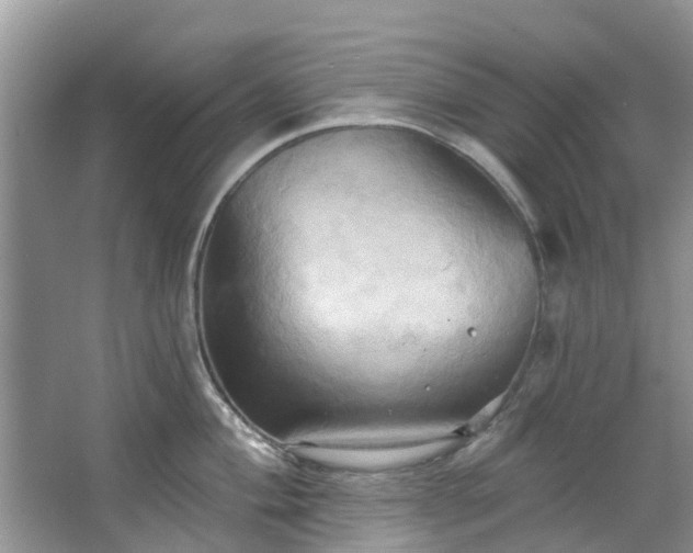 X0000067351004200604071420