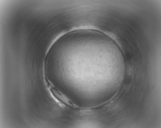 X0000067351006200604071420