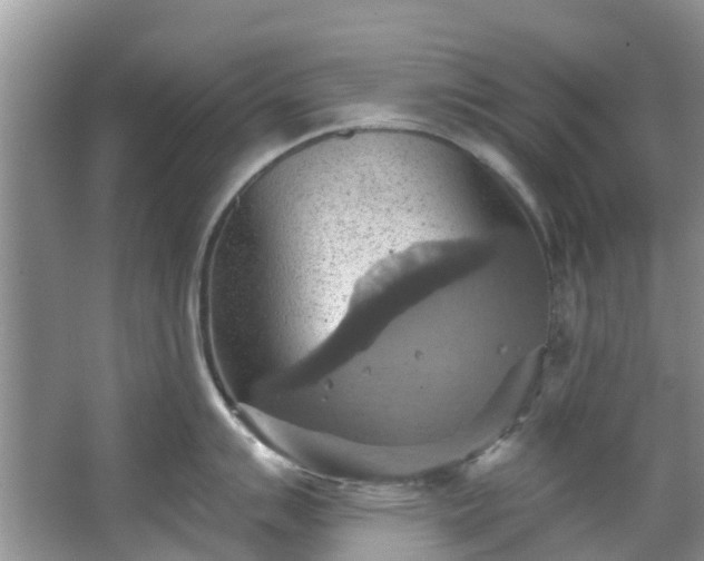 X0000067351007200604071420