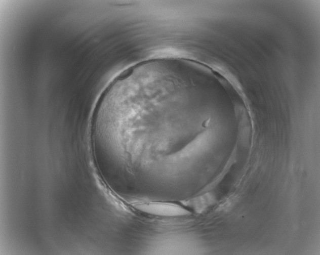 X0000067351008200604071420