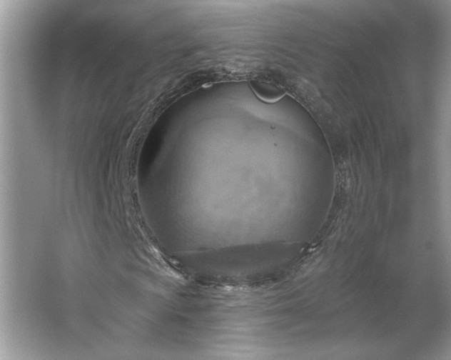 X0000067351009200604071420