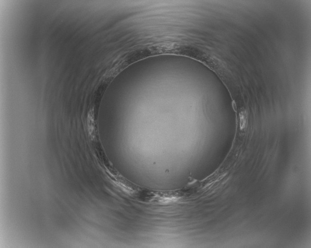 X0000067351011200604071420