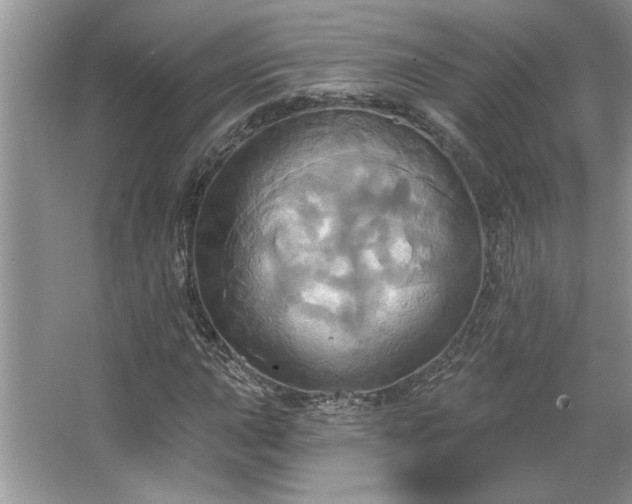 X0000067351015200604071420