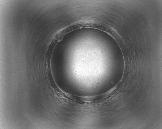 X0000067351016200604071420