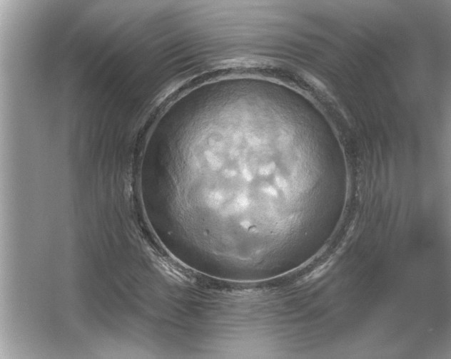 X0000067351017200604071420