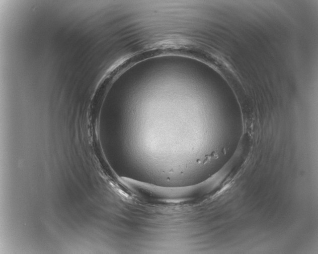 X0000067351018200604071420