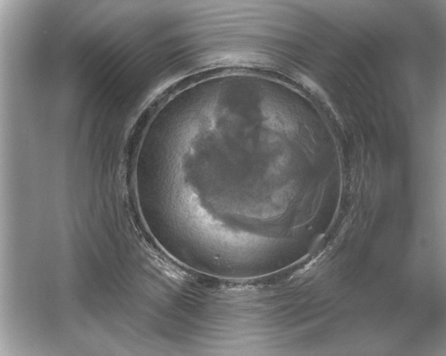 X0000067351019200604071420