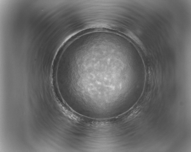 X0000067351020200604071420