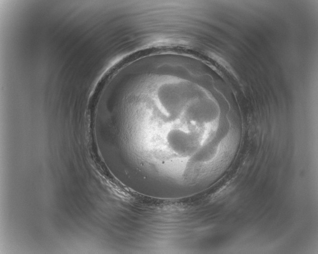 X0000067351021200604071420