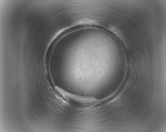 X0000067351022200604071420