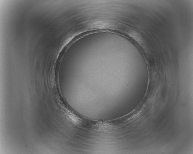 X0000067351023200604071420