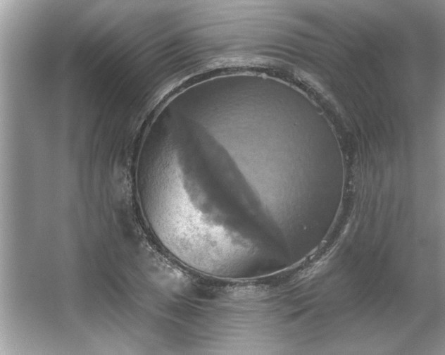 X0000067351025200604071420