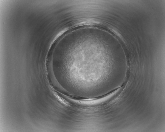 X0000067351026200604071420