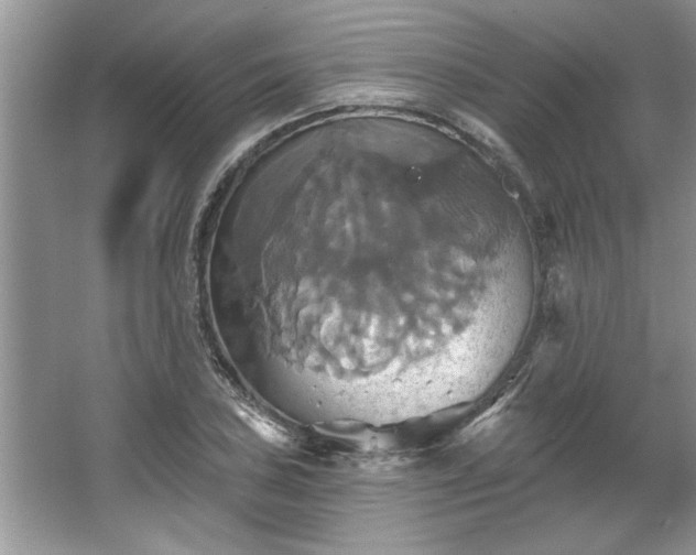 X0000067351027200604071420