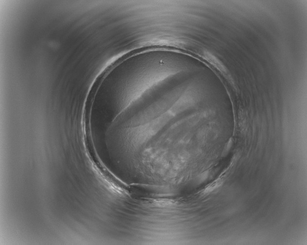 X0000067351028200604071420