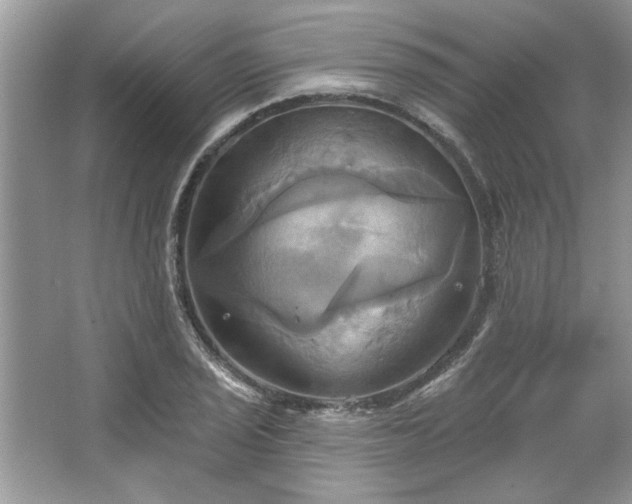 X0000067351029200604071420