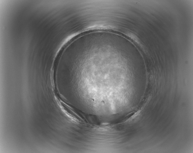 X0000067351030200604071420