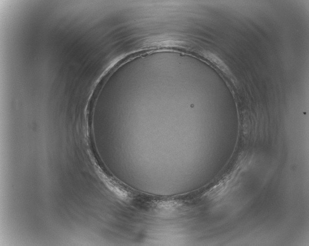 X0000067351031200604071420