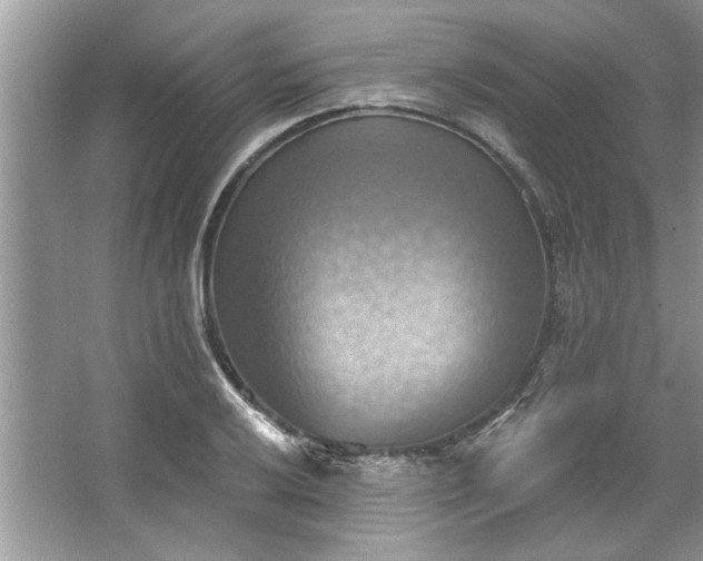 X0000067351032200604071420