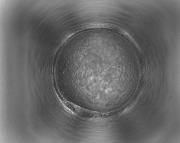 X0000067351033200604071420