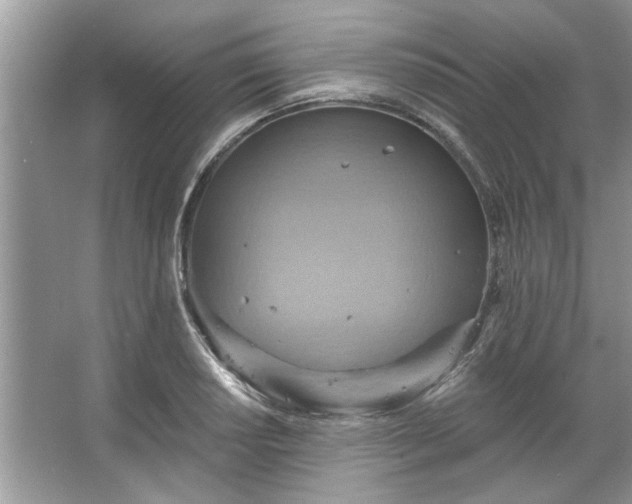 X0000067351034200604071420