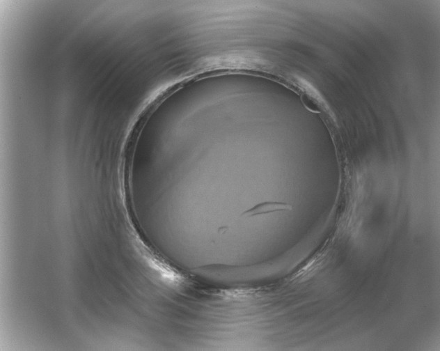 X0000067351035200604071420