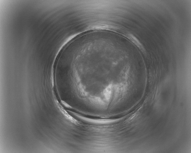 X0000067351036200604071420