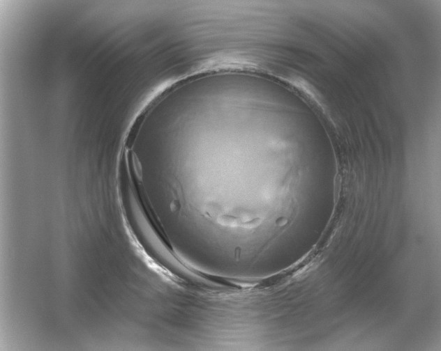 X0000067351038200604071420