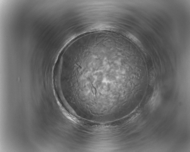 X0000067351039200604071420