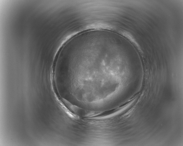 X0000067351040200604071420