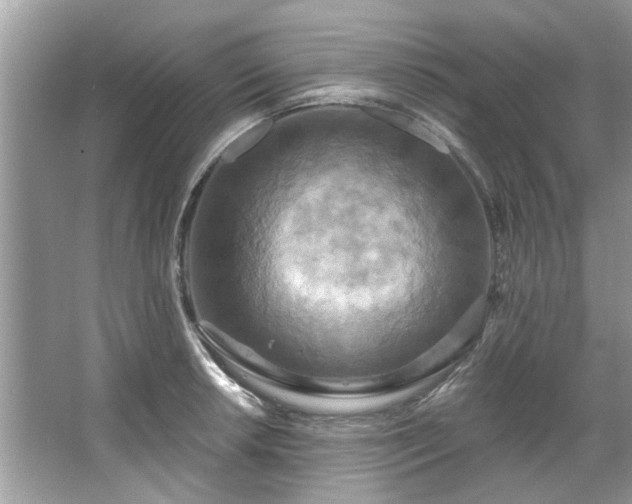 X0000067351042200604071420